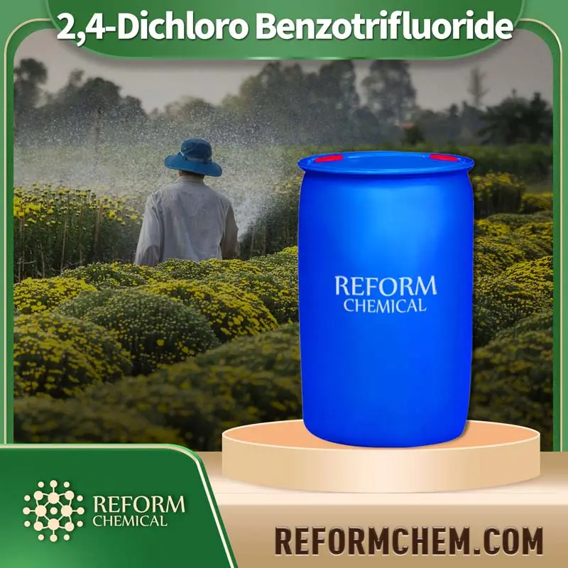 2 4 dichloro benzotrifluoride