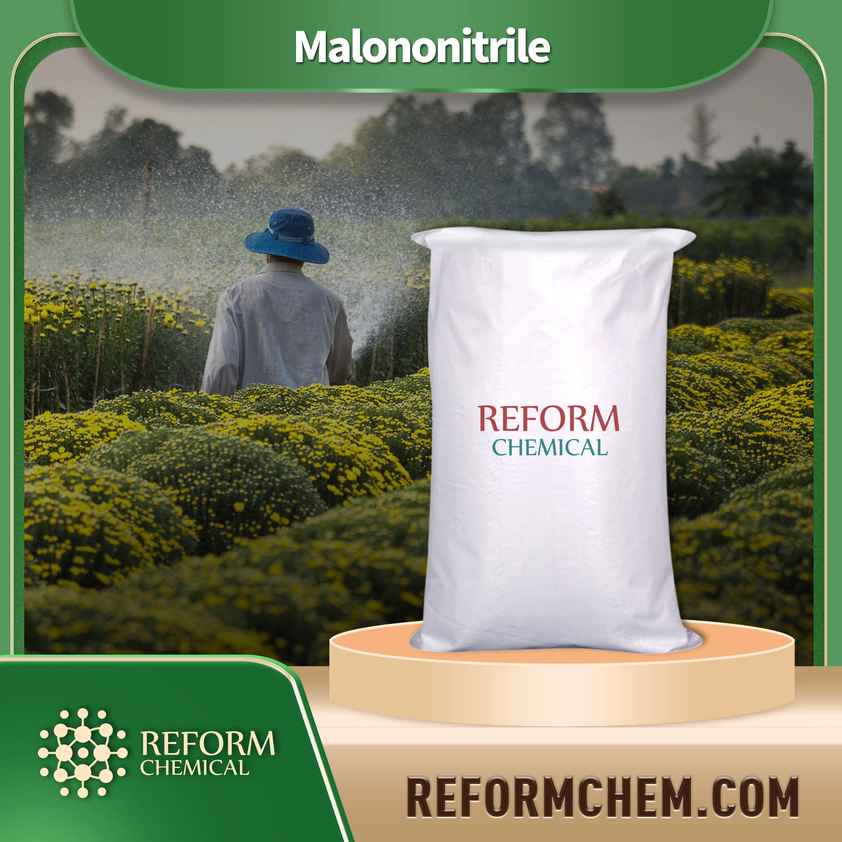 malononitrile109 77 3