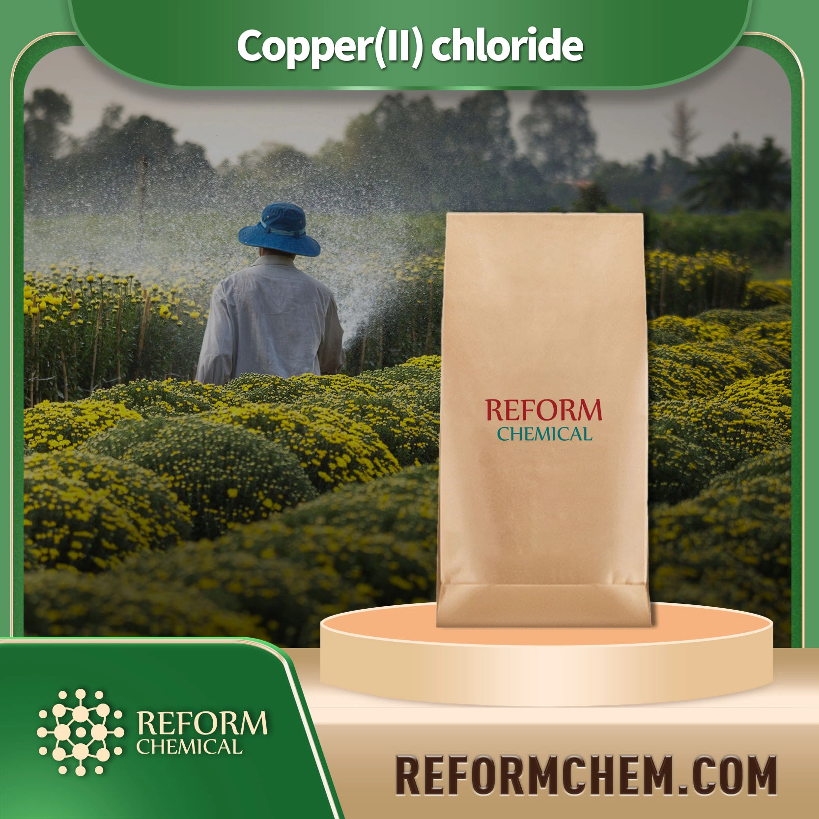 copper ii chloride7447 39 4